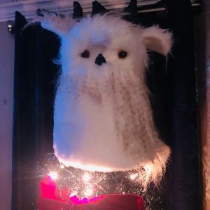 X mas Tree Top / ornaments